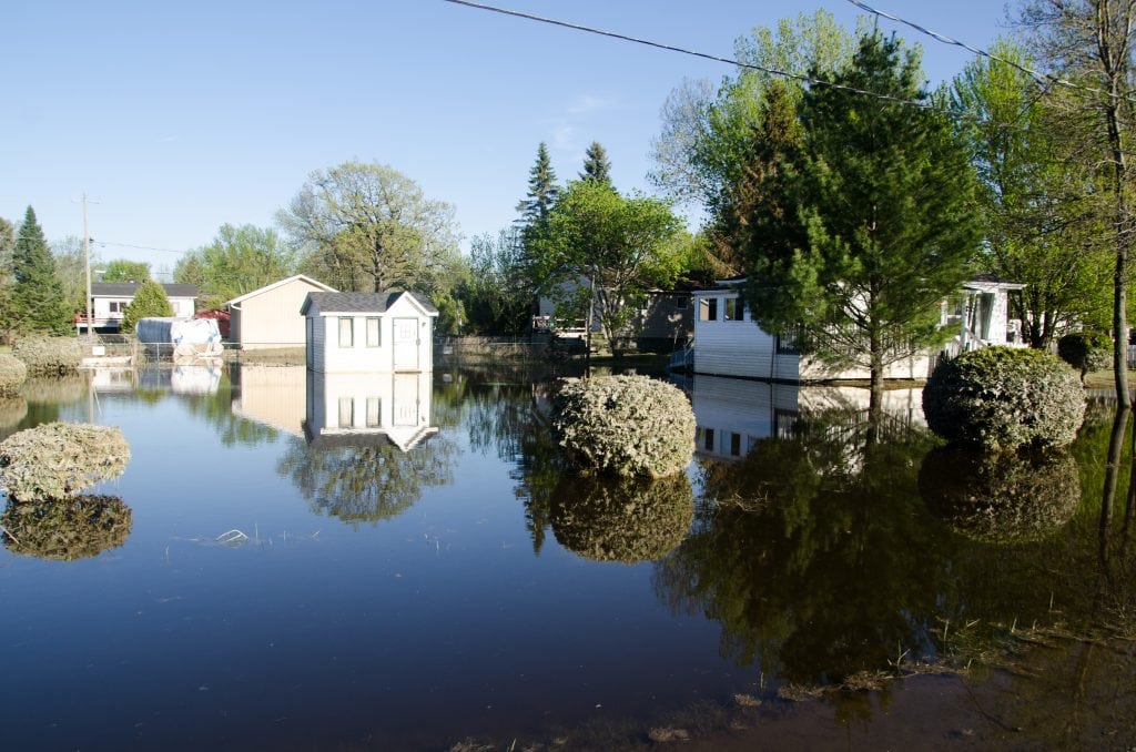 Houses and trees surrounded by flood waters